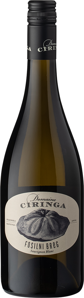 Sauvignon Blanc Fosilni Breg Reserve 2017